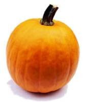 You can make your own puree for this pumpkin bread recipe